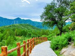 -白水寺森林公园