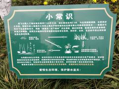 -成飞公园