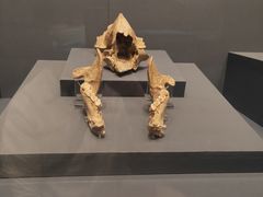 -贵州省博物馆(新馆)