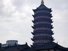 -长兴太湖图影湿地文化园
