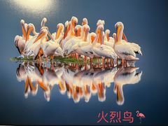 -罗红摄影艺术馆