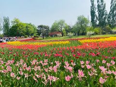 -北京植物园南门售票处
