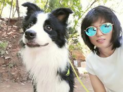 -沕沕水生态风景区