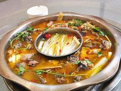 -黑河坝泡姜鸡贡椒鱼(贾旗路店)