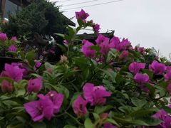 -天怡·鱼工厂(临江店)