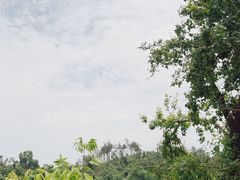-青龙山国家森林公园