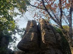 -山王坪喀斯特国家生态公园