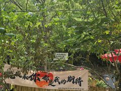 -天台山赤城山景区