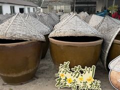 -苏州市吴中区光福窑上花果蜜饯厂