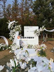 -迈瑞米求婚策划(静安店)