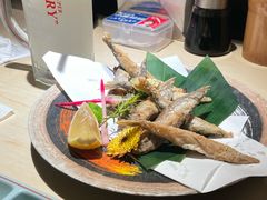 -乌君·酒场·炭火烧鸟(侨城坊店)