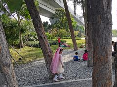 -宝安西湾红树林湿地公园