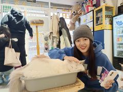 -平行世界·猫咖(首经贸店)