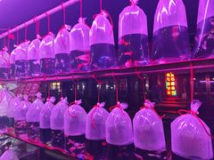 -中环花鸟鱼虫市场