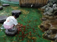 -上海大自然野生昆虫馆(东方明珠·爬宠昆虫探索中心)