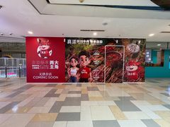 -鹏欣水游城