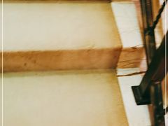 -金紫荆松骨休闲水会