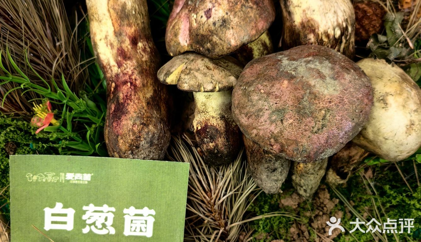 天然食材的魅力