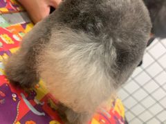 -熊小胖宠物生活馆(天华园店)