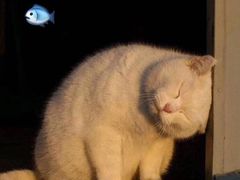 -田记餐馆(富国街店)