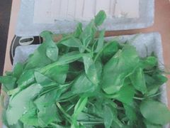 豆苗-山珍王国·云南野生菌石锅鱼