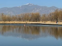 -野鸭湖国家湿地公园