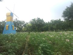 -广东花都香草世界旅游度假区