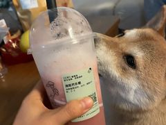 -喜茶(杭州龙湖西溪天街店)