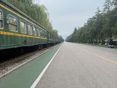 -滕州微山湖红荷湿地景区