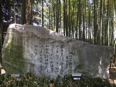 -凤城河风景区