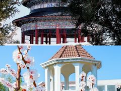 -烟台金沙滩海滨公园