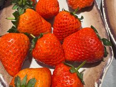 -一緒寿喜烧(包河万达店)