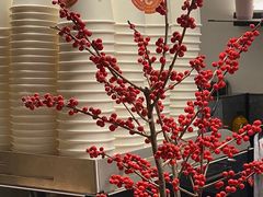 -野鸽子咖啡(中航店)