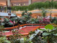 -广州白天鹅宾馆