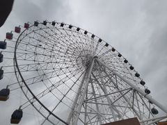 -琴岛之星摩天轮