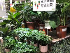 -IKEA宜家家居(南京商场)