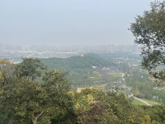 -苏州上方山国家森林公园