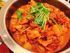 红焖筋头巴脑-小土豆北方菜馆(文慧园店)