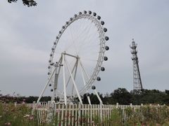 -日照海滨国家森林公园