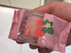 -GANSO元祖食品(沪青平店)