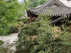 -南普公园