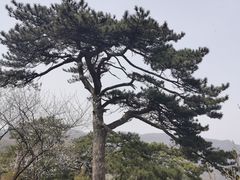 -妙峰山风景名胜区