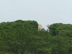 -苏州上方山国家森林公园