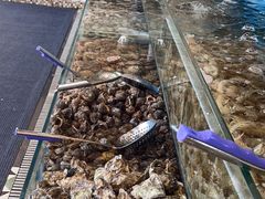 -港畔赶海蒸汽海鲜烧烤自助(仙螺岛店)