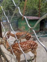 -萌宠亲子动物乐园(槐房万达店)