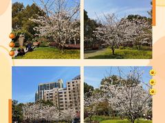 -徐家汇源景区-衡山公园