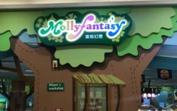 -莫莉幻想儿童乐园(武汉经开永旺店)