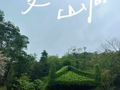 -云溪植物园