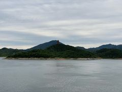 -望湖烤鱼