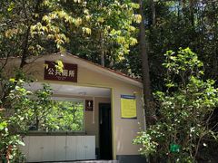 -九龙江国家森林公园